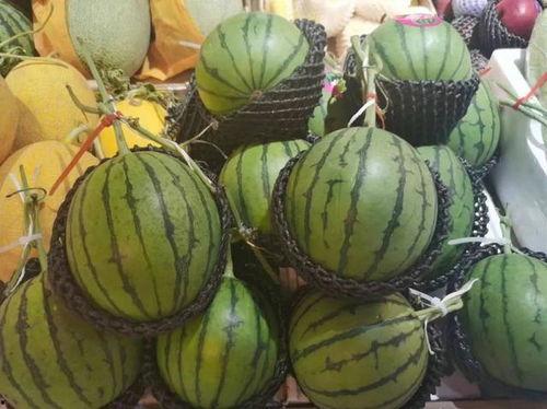 黑瓜吃料正能,探寻正能量的美食之旅